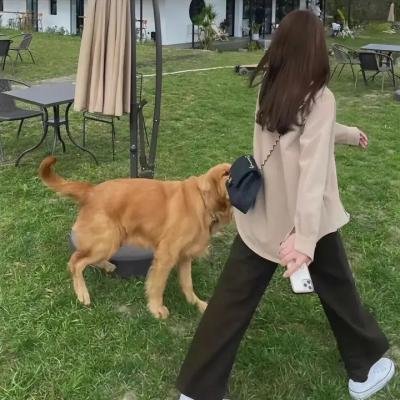 失落少年